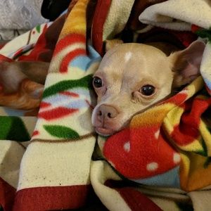 Meet your Posher, Justin